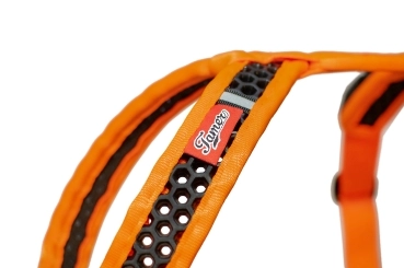 SOFTY Geschirr - Größe 2 - orange/schwarz
